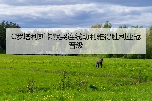 C罗塔利斯卡默契连线助利雅得胜利亚冠晋级