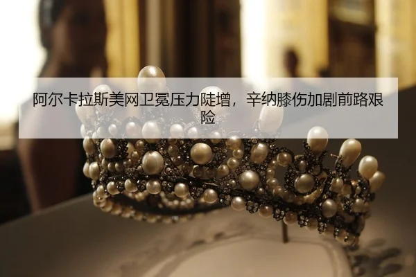 a-er-ka-la-si-mei-wang-wei-mian-ya-li-dou-zeng-xin-na-xi-shang-jia-ju-qian-lu-jian-xian-2-194.jpg